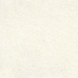 double charged vitrified tiles